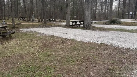 Premium RV Site — image 1 of 5