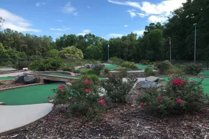 Dan Nicholas Park – photo 2