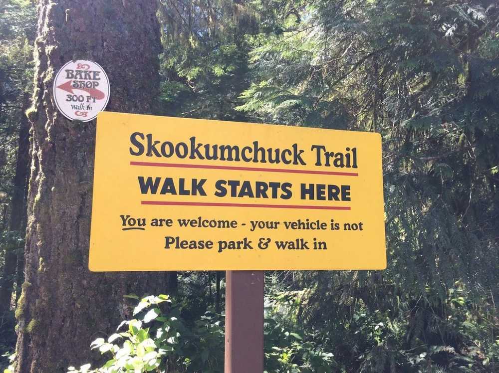Strongwater Camping and Cabins, Egmont, British Columbia - Photo 4