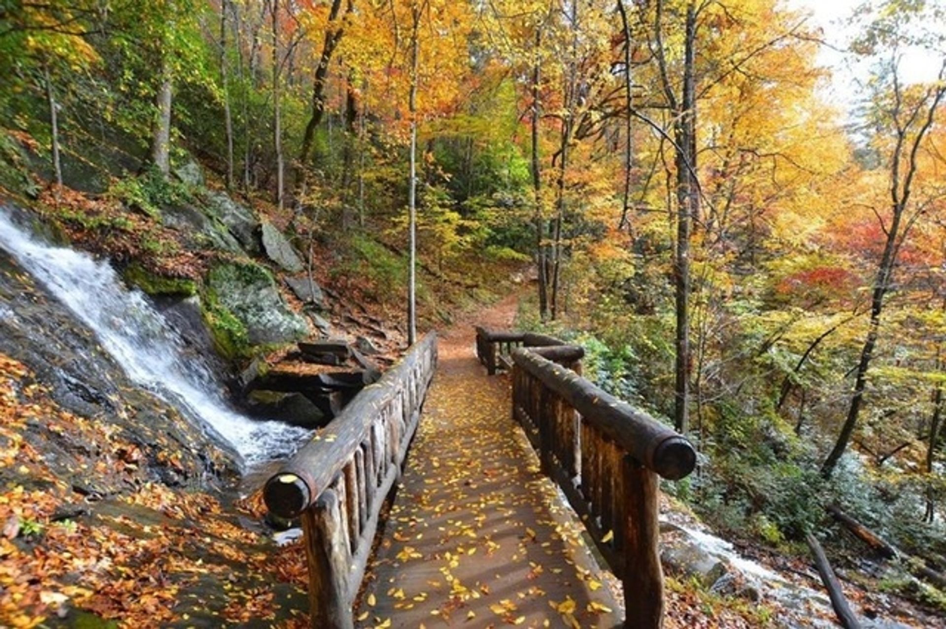 Nantahala RV Resort & Campground