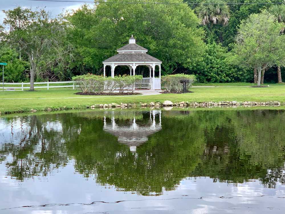Whispering Palms RV Resort (Age Restricted 55+) - Photo 3
