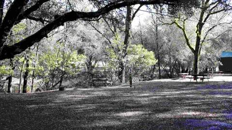 Tent Site + Electric — image 2 of 3