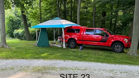 Wooded Primitive  Site — image 8 of 8