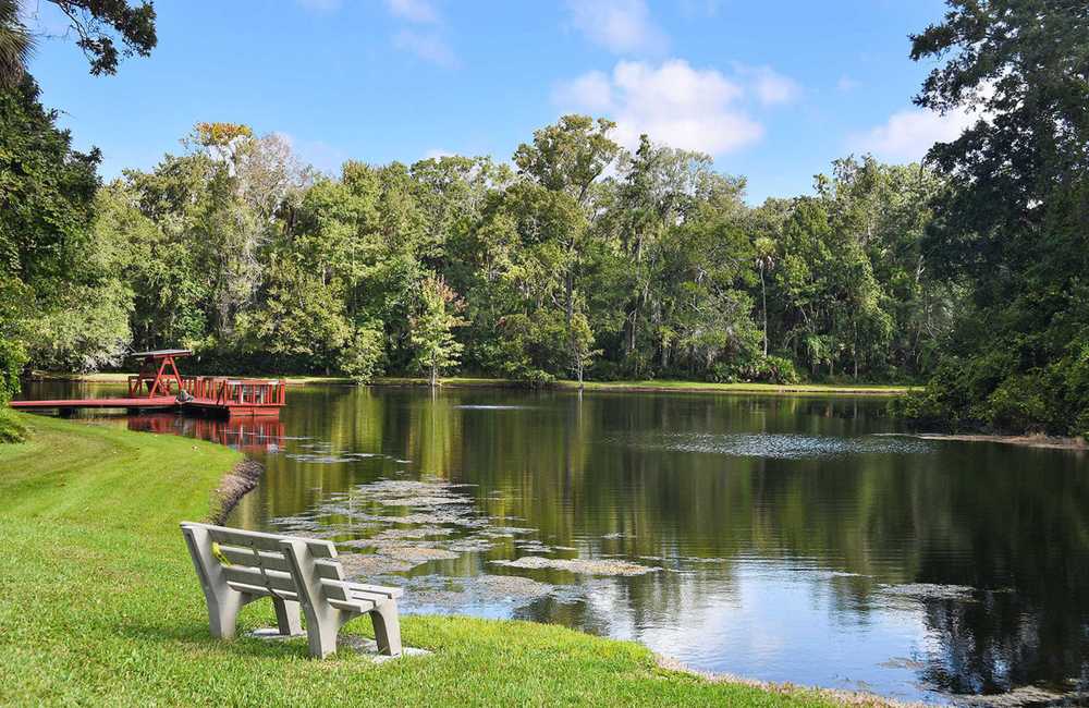 Holiday Springs RV Resort (Age Restricted 55+) - Photo 2