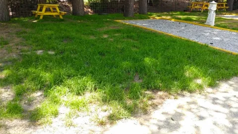 Compact Tent & RV Site – Full Hookups — image 4 of 4