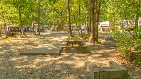 Water & Electric Back In RV, Pop Up & Tent Site — image 2 of 2