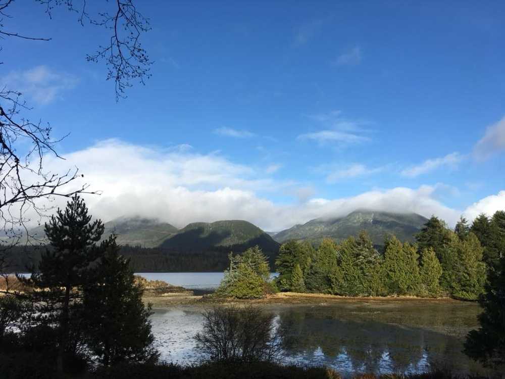 Ucluelet Campground - Photo 4