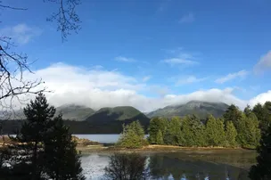 Ucluelet Campground – photo 3