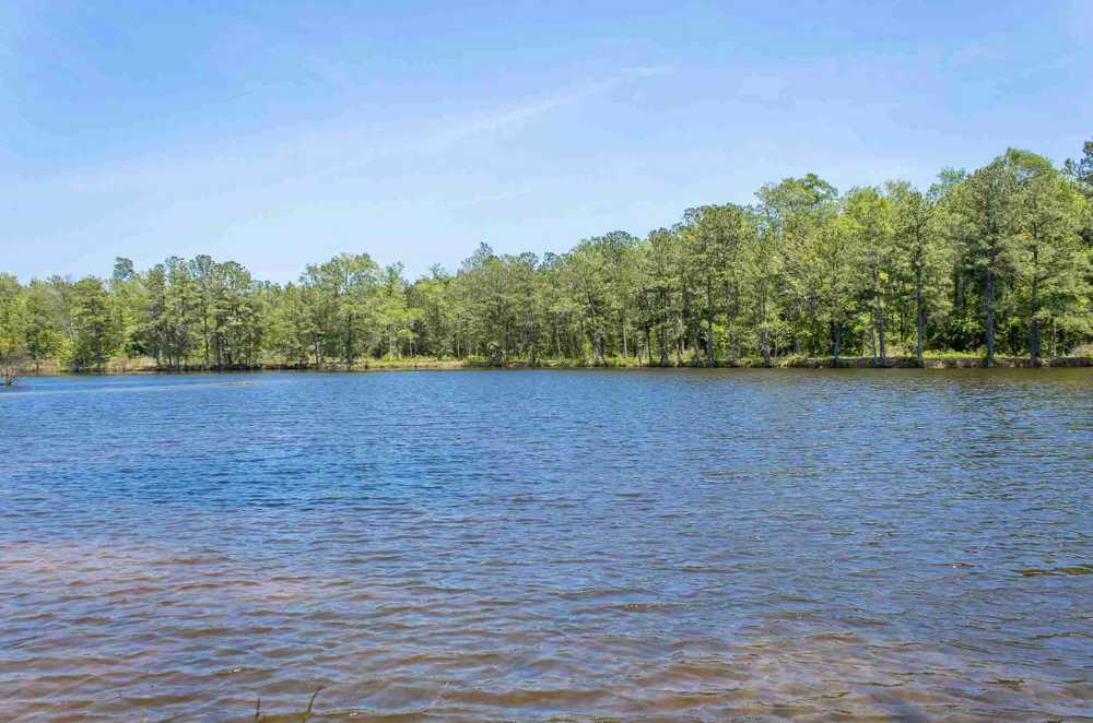 Shellring RV Park - Photo 2