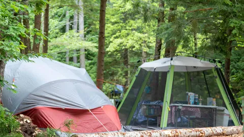 W/E Tent Site — image 1 of 1