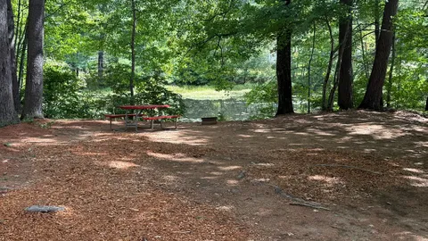 Pond Tent/Pop Up Site — image 1 of 1
