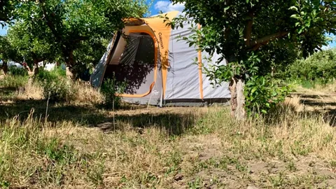 Lower Orchard Campsites — image 2 of 7