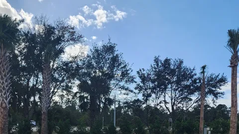 Back-In with Walkway to Clubhouse — image 14 of 14