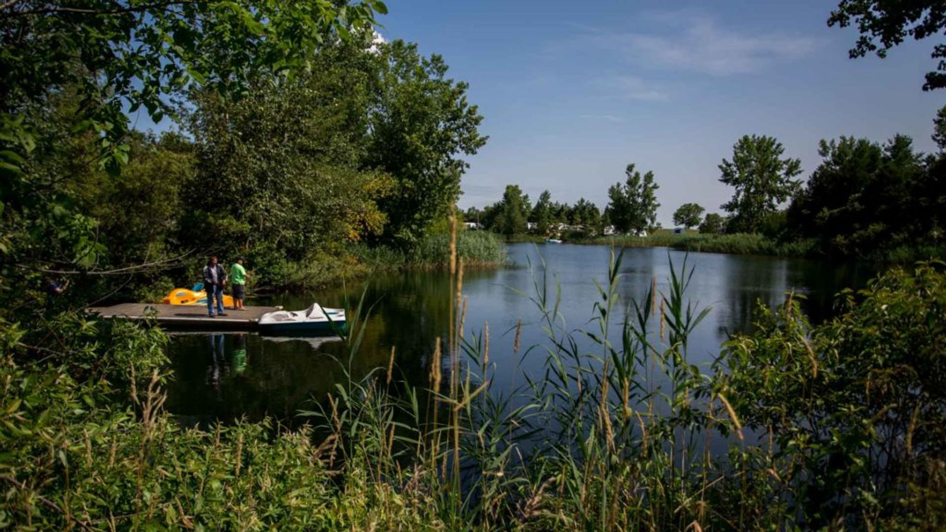 Bloom Resorts Stratford