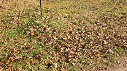 Deluxe Full Hookup RV Site 30/50AMP — image 2 of 2