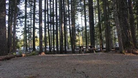 Small Tent Site (No RVs / Trailers) — image 2 of 5