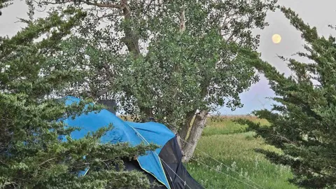 Primitive Tent Site — image 1 of 1