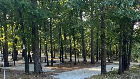 Partial Utility, Tent Sites (Vans, Truck Campers, Tents) — image 1 of 2
