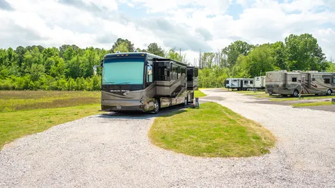 50 Amp Premium Pull-Through RV Site — image 4 of 4