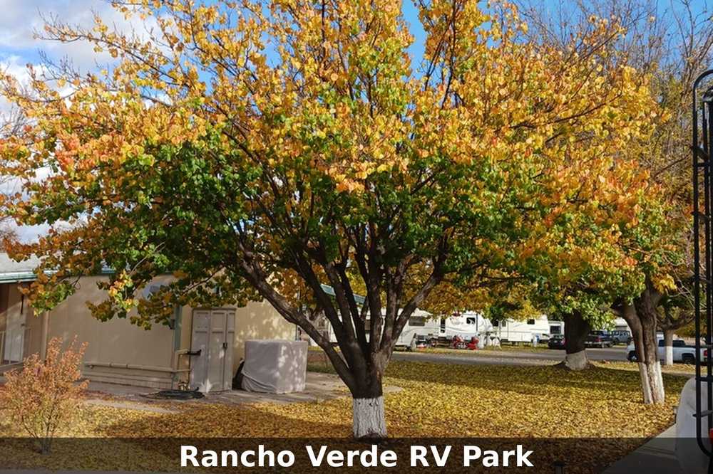 Park Image 6