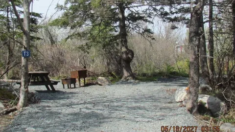 Unserviced Tent Site — image 3 of 3