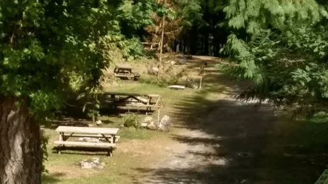 Primitive Morningside Camping Site — image 4 of 4