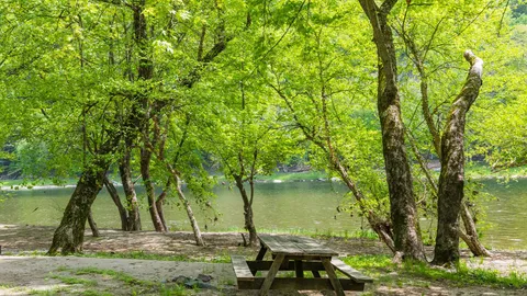 Riverfront Rustic Tent — image 1 of 2