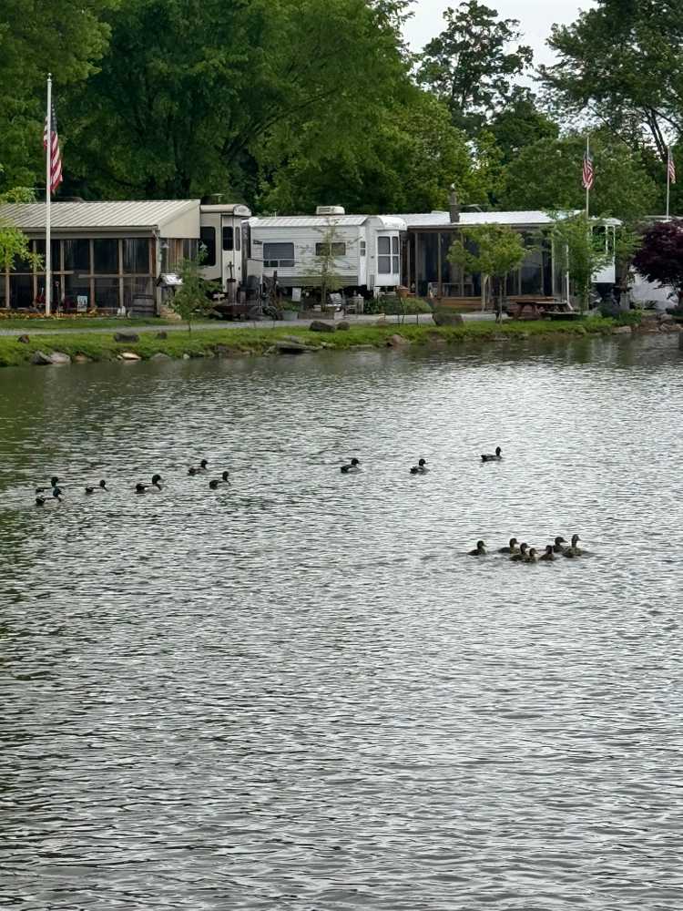 Park Image 5