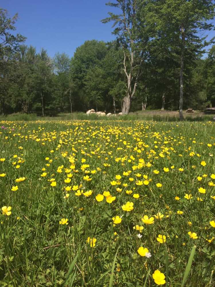 Gateway Campground - Photo 5