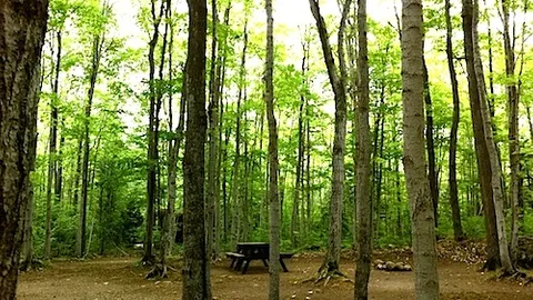 Group — image 2 of 4