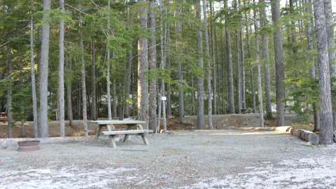 TENT or SMALL RV site with no services — image 1 of 3
