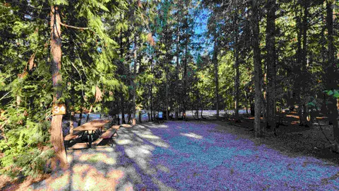 Unserviced Tent Site — image 1 of 1
