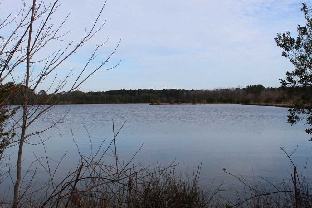 Hidden Lake Retreat, New Bern, North Carolina - Photo 3