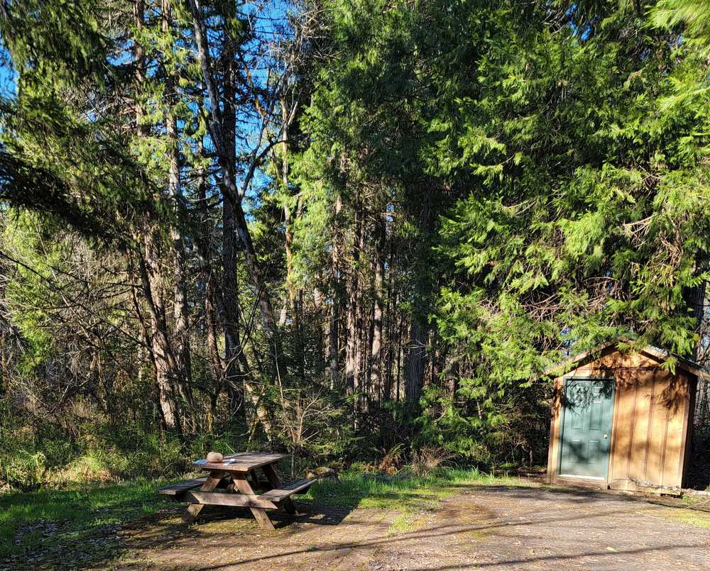 Holiday Farm RV Resort - Photo 3
