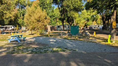 Back-in Deluxe Wide RV Site — image 1 of 3