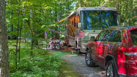 Shaded Full Hookup Pull-Through RV Site — image 1 of 4