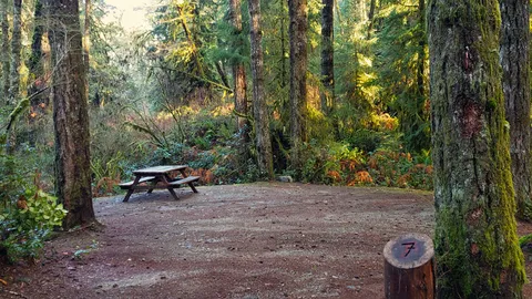 Creek Side Basic Site — image 1 of 1