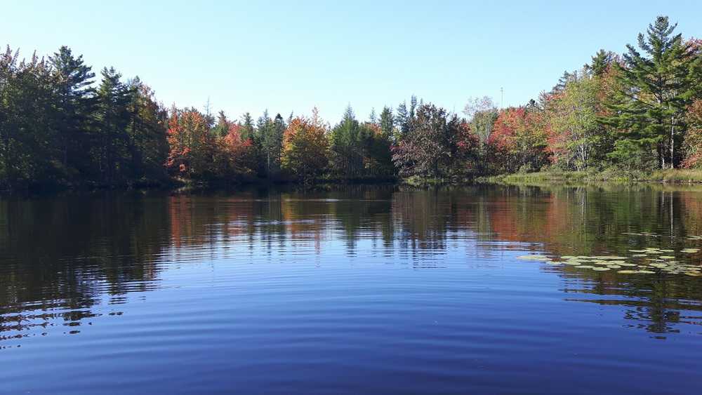 Wild Nature Campground - Photo 4