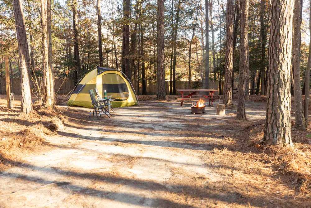 Sparta Pines RV & Campground, Milford, Virginia - Main Photo