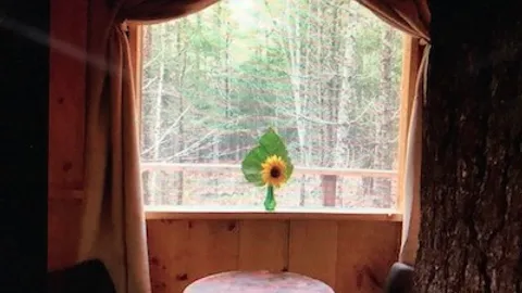 Treehouse — image 2 of 3