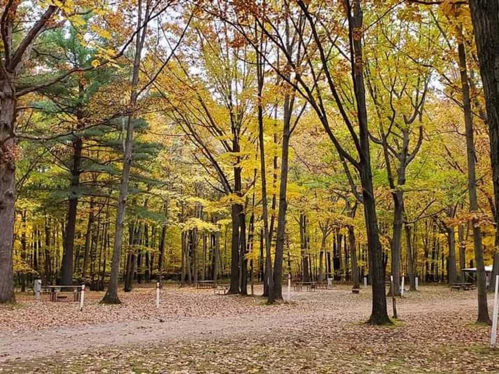 Oak Grove Campground, Carson City, Michigan - Main Photo