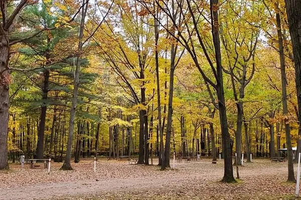 Oak Grove Campground – photo 1