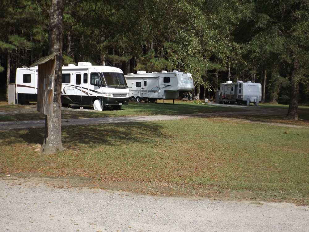 Cashie River Treehouses and Campground - Photo 3