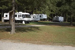 Cashie River Treehouses and Campground – photo 3