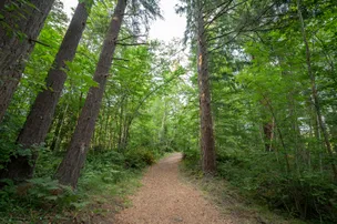 Camp Lakeview – photo 4