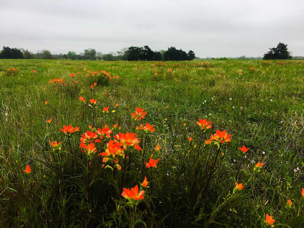Park Image 9