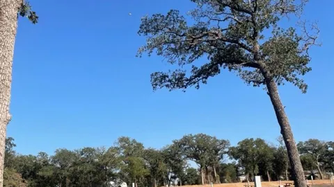 Deluxe Pull-Through RV Site — image 1 of 2