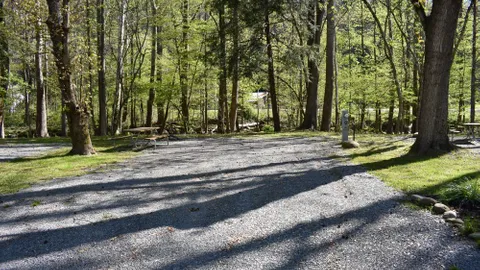 Premium On River Full Hookup RV Site — image 1 of 14