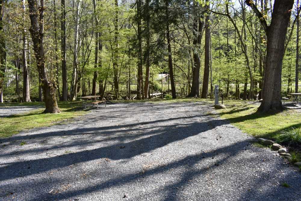 Premium On River Full Hookup RV Site