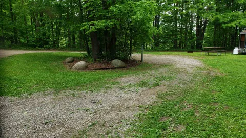 Full Hook-Up Pull-Through RV Site — image 4 of 4